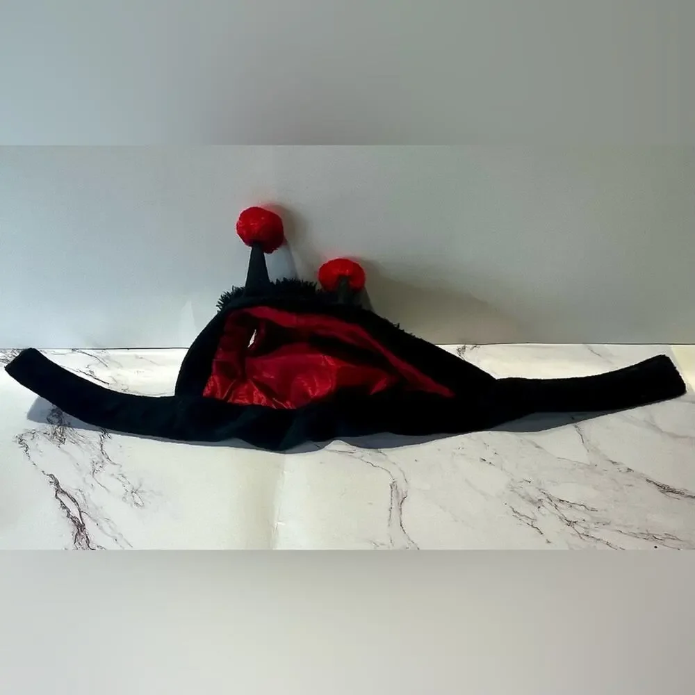 Target ladybug dog costume size small